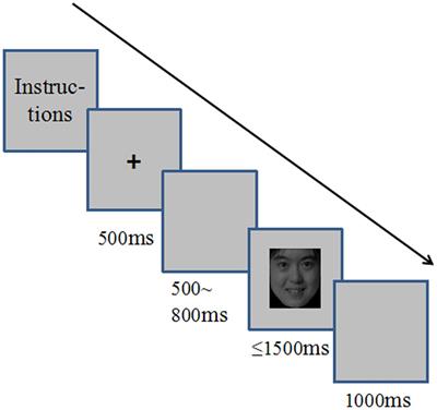 Symmetrical and Asymmetrical Interactions between Facial Expressions and Gender Information in Face Perception